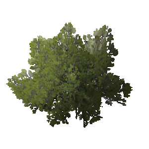 TreeCreator_Bush_A.png